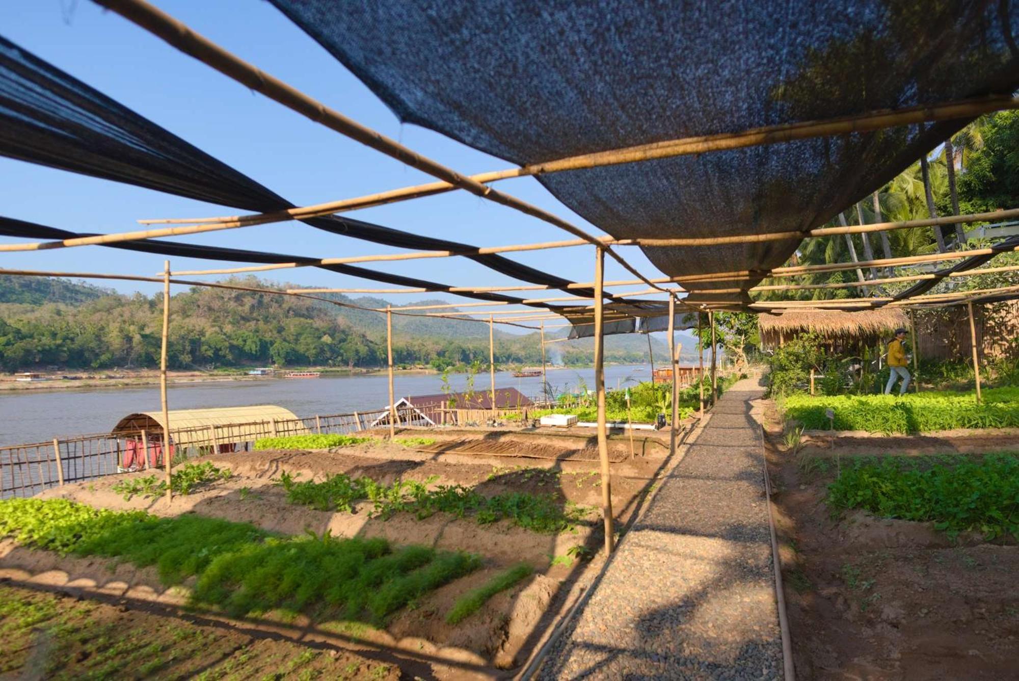 The Belle Rive Boutique Hotel Luang Prabang Luaran gambar